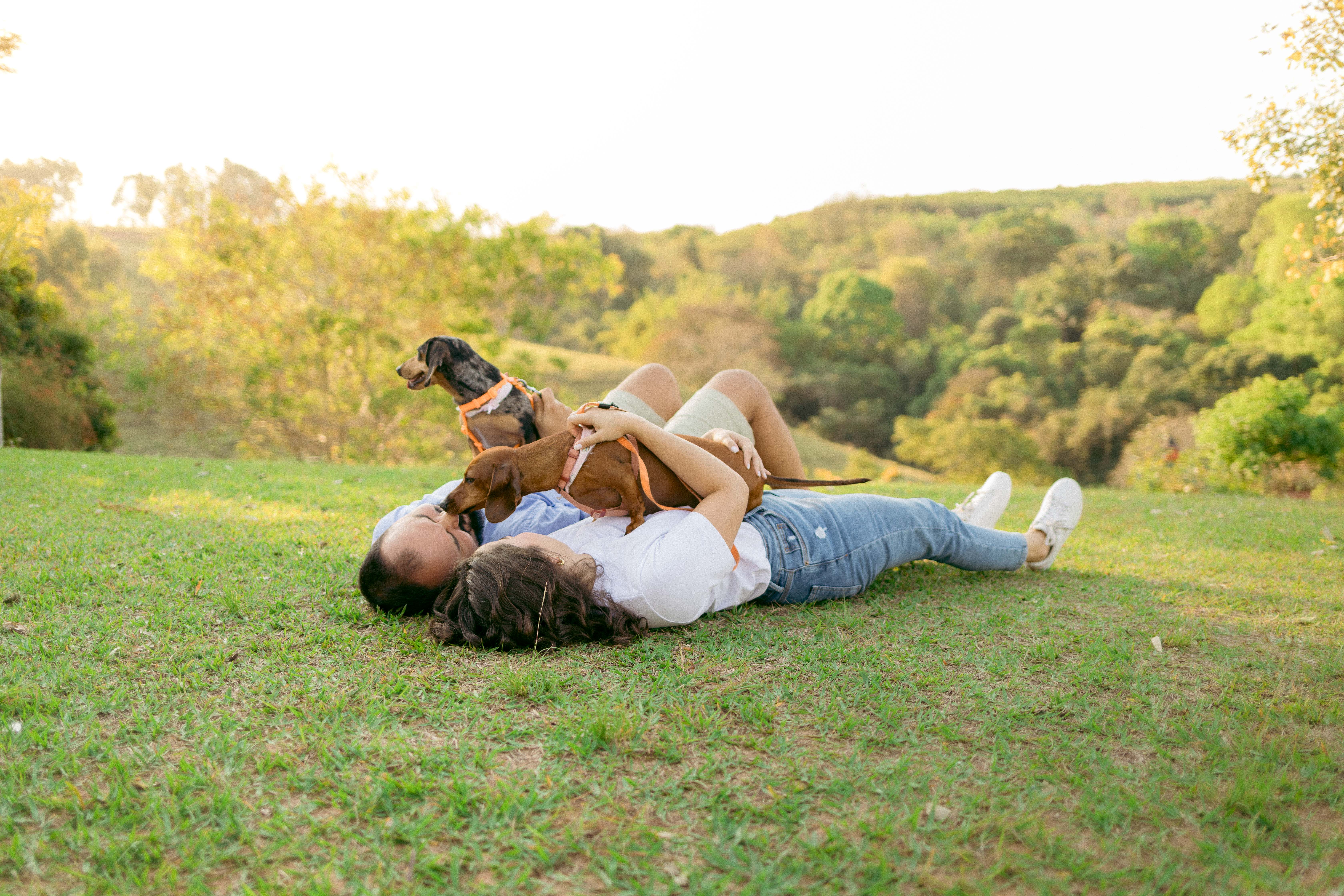 Daniela e Wennder deitados na grama brincando com os dachshunds