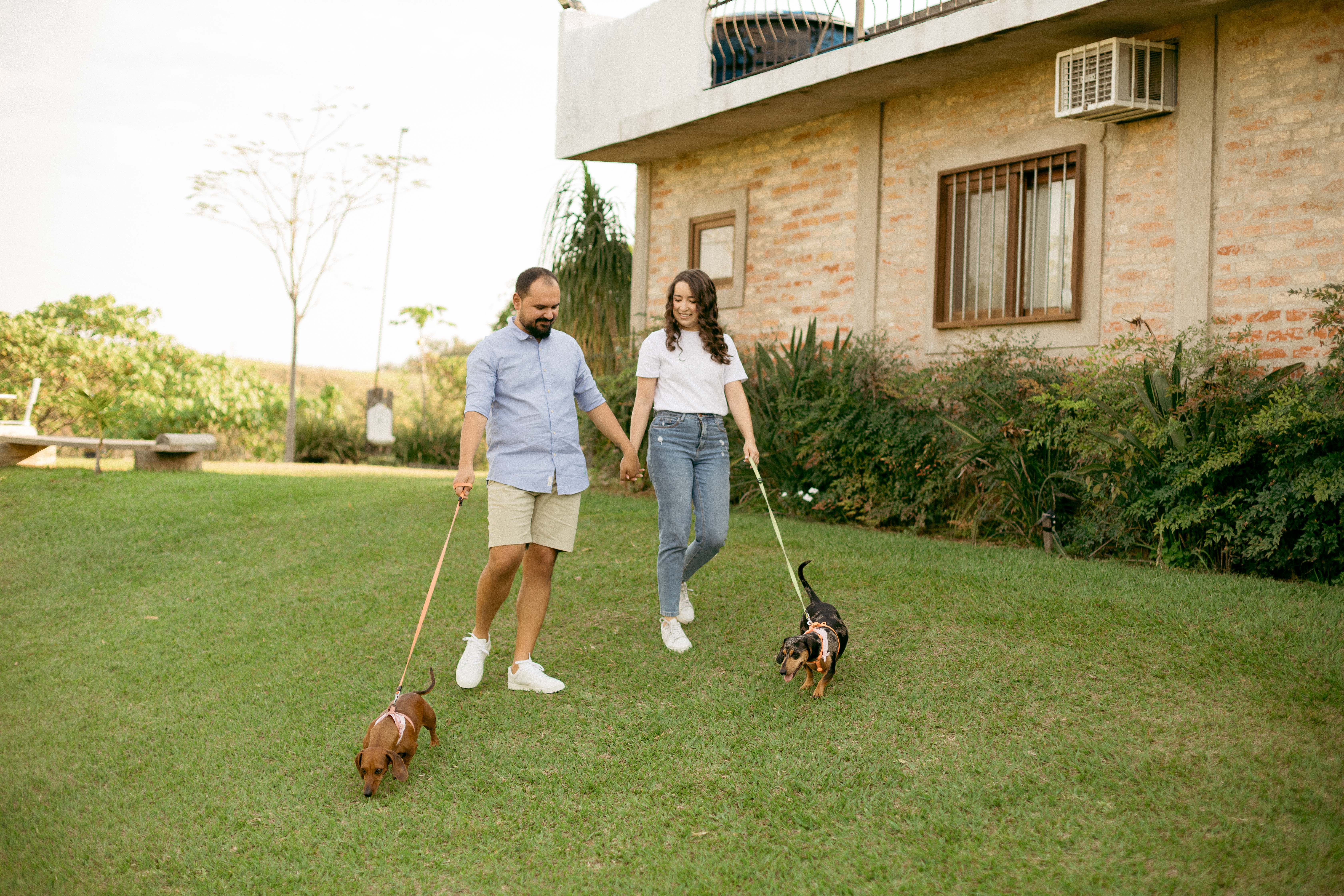 O casal passeando com os dachshunds