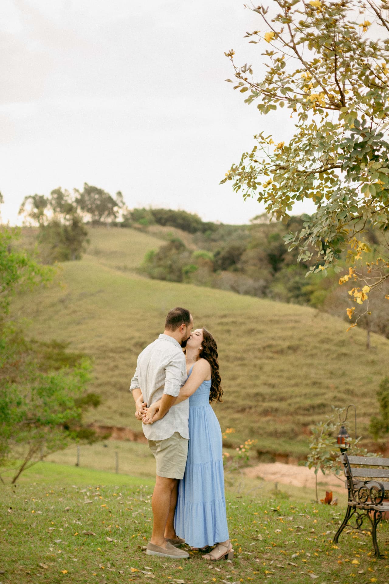 Daniela e Wennder se beijando sob uma árvore no campo