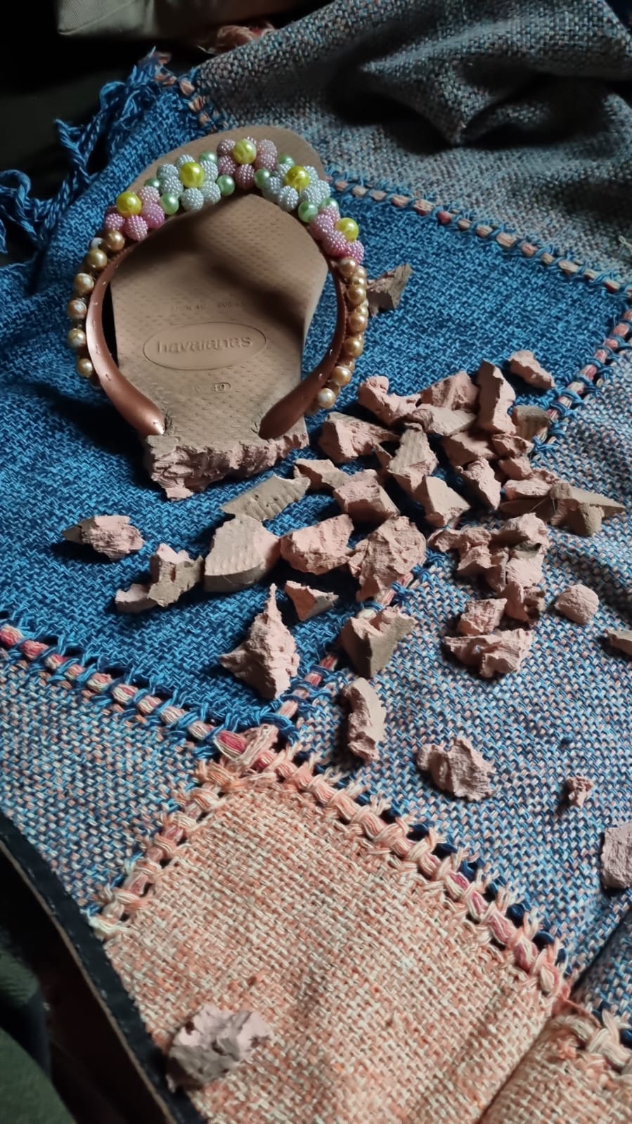 Chinelo mastigado em vários pedaços sobre uma manta